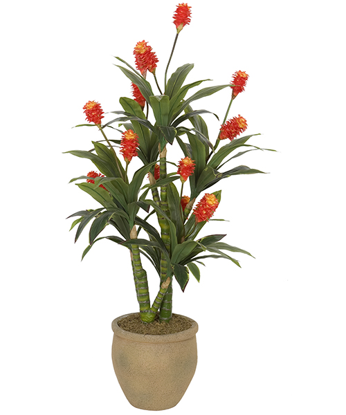 1.6米情侣花Y8375-77-2PMS