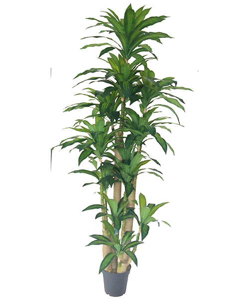 仿真植物安装效果图有哪些值得分享