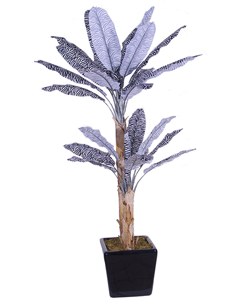 斑马芭蕉Y8448-26-2T