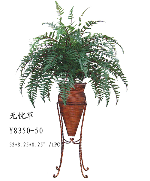 无忧草Y8350-50