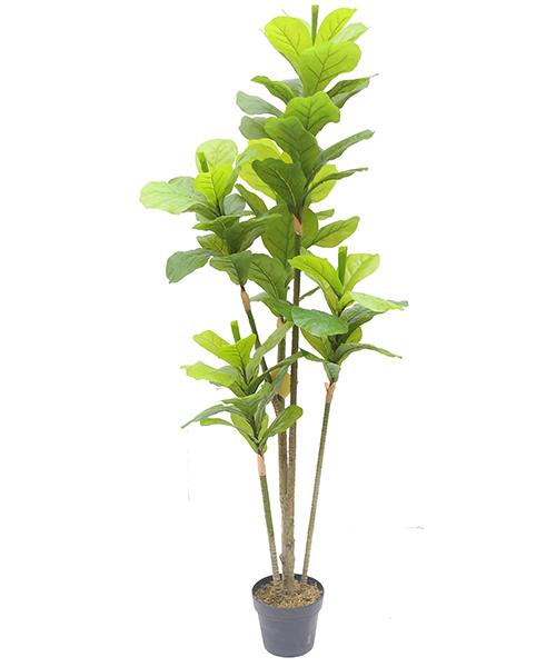 葫芦树1.5米 Y8253-67-5-3PS