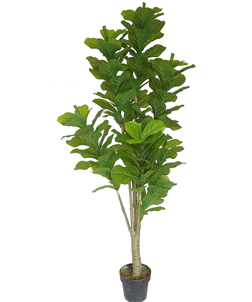 1.8米葫芦树 Y8253-162-1PS  8“