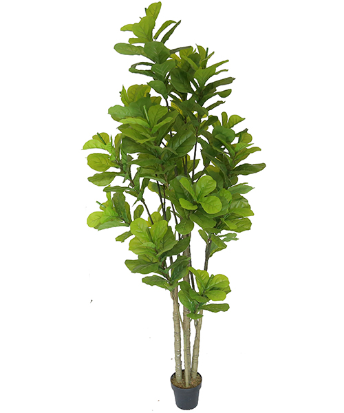 2.3米葫芦树 Y8253-20-4PS  8”