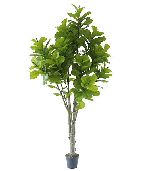 2.4米葫芦叶Y8253-3-1PS  8“