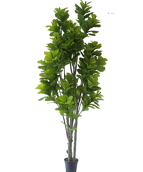 2.9米葫芦树  Y8253-5-3PS  10”