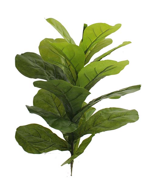 葫芦树Y8253-18S