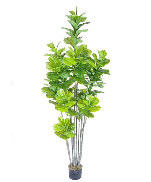 葫芦树Y8253-210-13PS