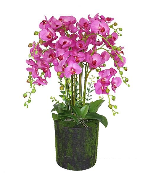 花草盆159-002-76CM