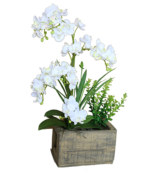 花草组合159-011-57CM