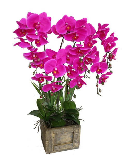 花草盆159-013-68CM