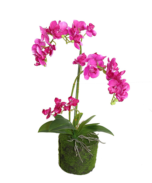 花盆159-026-49CM