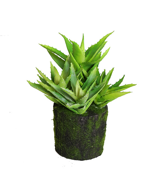 花草景盆159-042-25CM