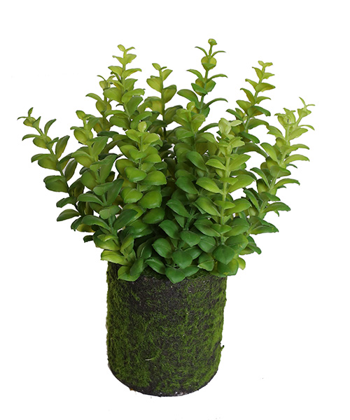 花草景盆159-045-35CM