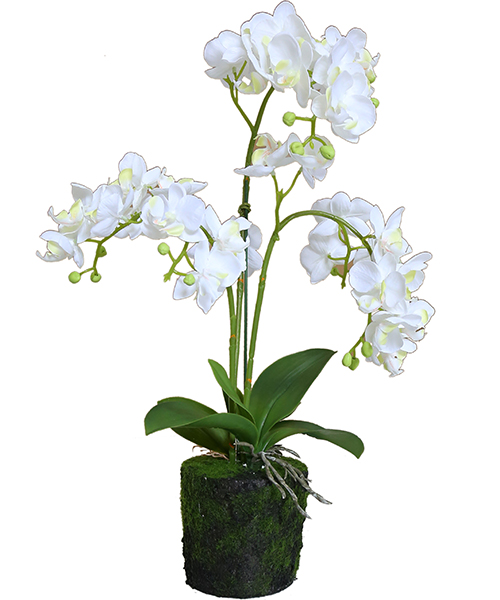花草盆景159-060-50CM