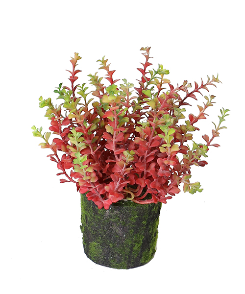 花草小景盆159-068-28CM