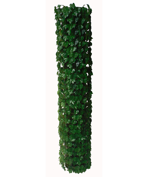 爬山虎Y8472-64S