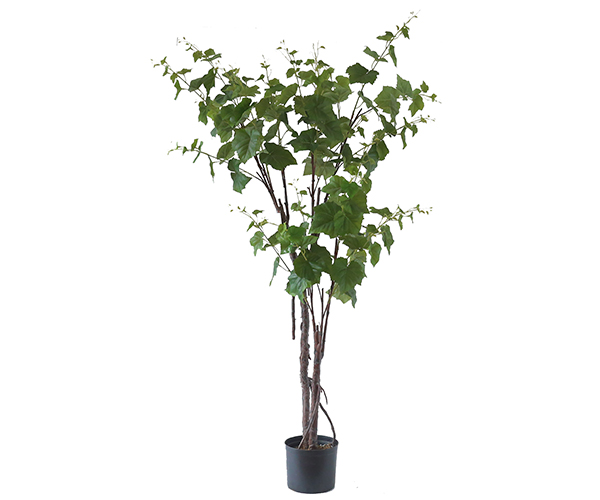 仿真提子树1.8米  Y8475-163-2P