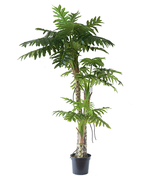 仿真喜林芋2.3米  Y8006-27-3-2PS  12”