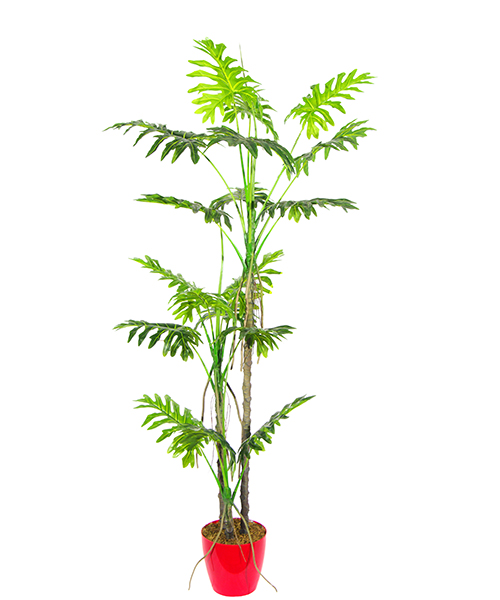 仿真喜林芋Y8006-18-3PS