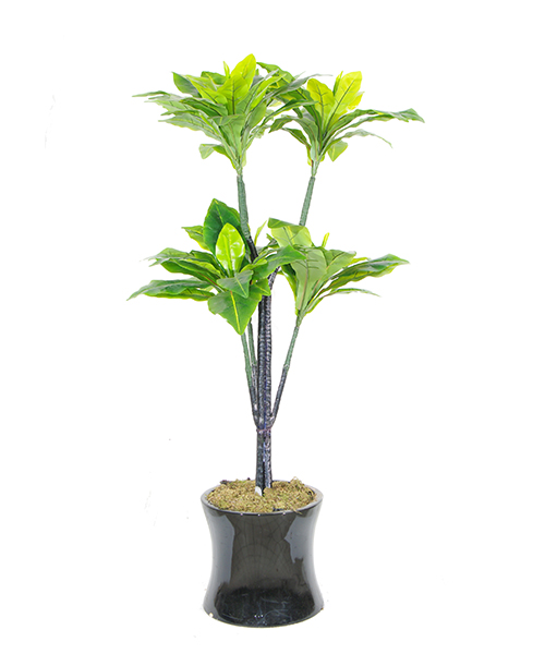 仿真新芒草Y8095-105-6PUS