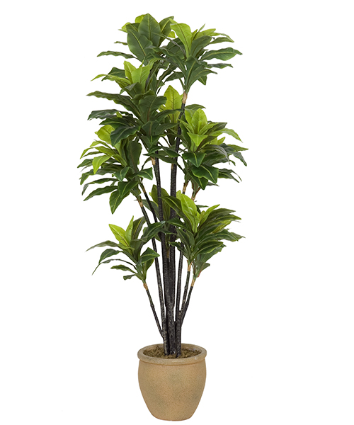 仿真新芒草Y8095-228-12PUS