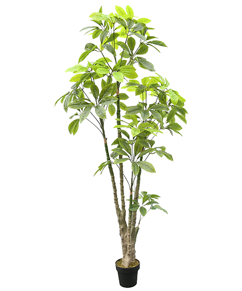 仿真鸭脚木2.2米  Y8495-5-1PS 8“胶盆