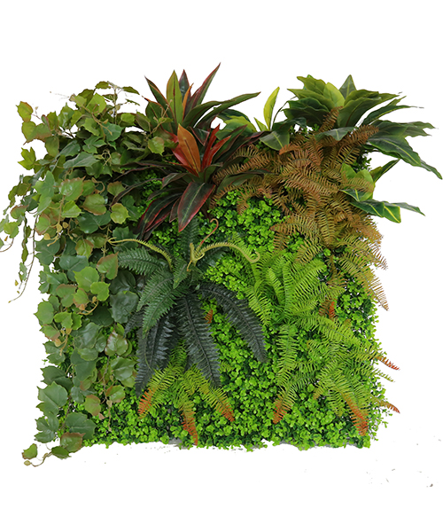 植物墙Q1701