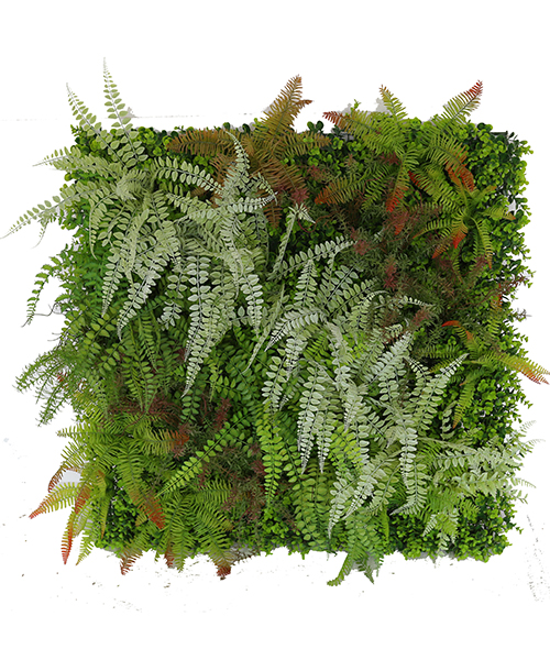 植物墙Q1702
