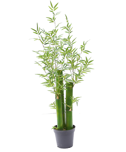 仿真黄金竹1.5米  Y8474-20-3TS 10“胶盆