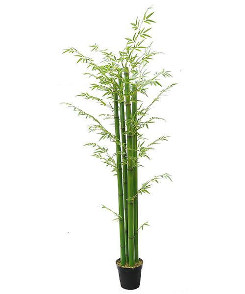 仿真黄金竹2.3米  Y8474-36-4TS 10”胶盆