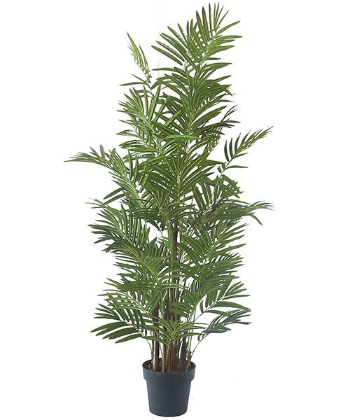 仿真特级散尾葵 1.5米 Y8557-15-9T  8”