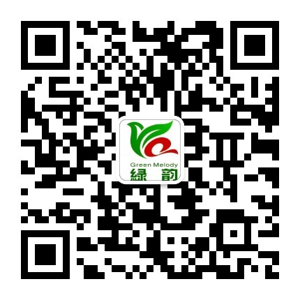 手机站二维码
