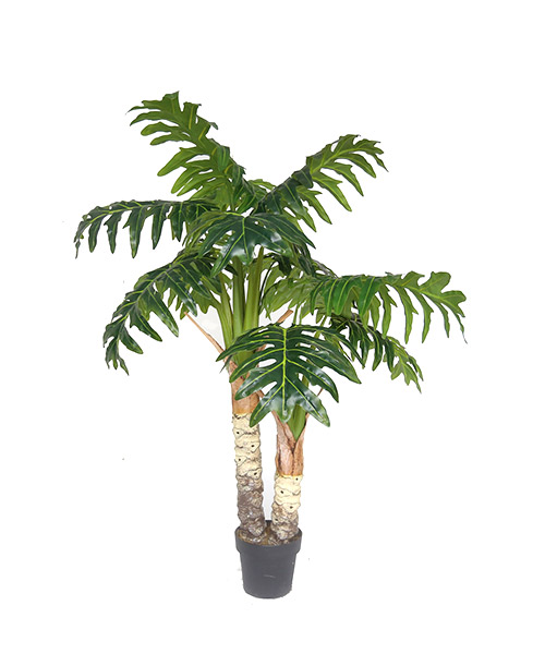 1.4米喜林芋 Y8006-12-2PS 8”