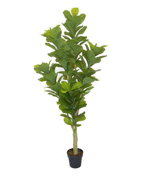 1.8米葫芦树 Y8253-162-1PS  8“