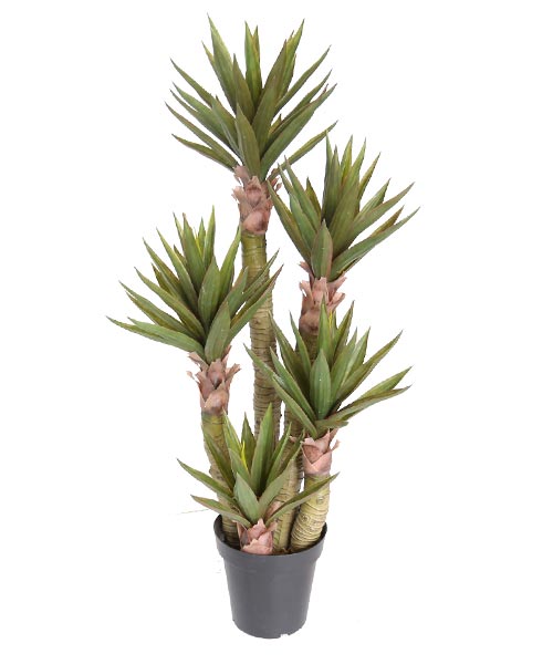 1.25米大芦荟 Y8489-111-5P  10”