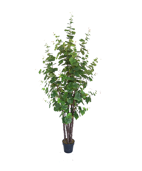 2.1米提子 Y8475-6-6PS 8”