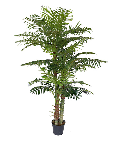 2.35米夏威夷葵 Y8388-45-3PS  10“