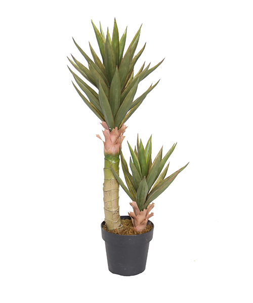 90cm大芦荟 Y8489-54-2P 8“