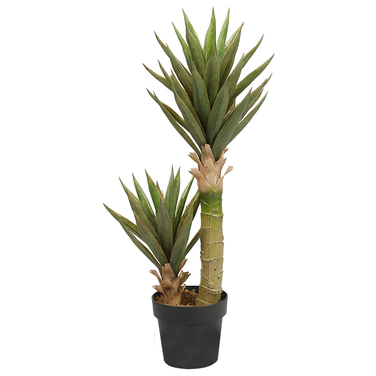 90CM 大芦荟Y8489-54-2P