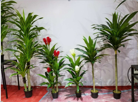 在天然植物上选择人造植物有什么好处