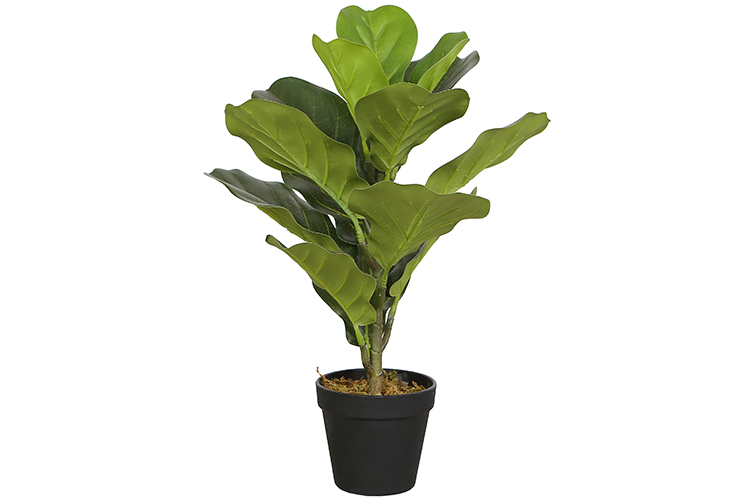 冬天来了，让我们（仿真植物）陪你一起过冬吧