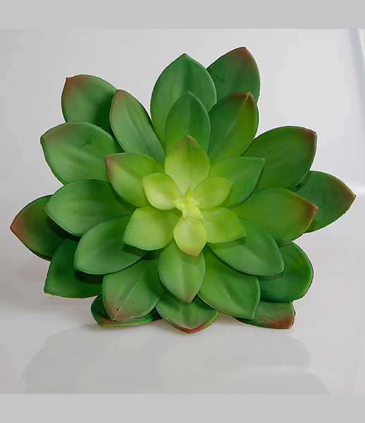 小号观音莲人造多肉植物加工生产批发