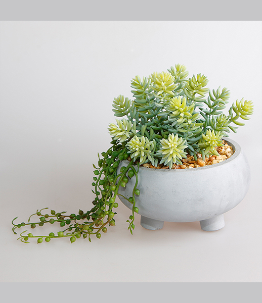 小号观音莲人造多肉植物加工生产批发