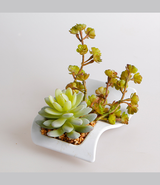 小号观音莲人造多肉植物加工生产批发