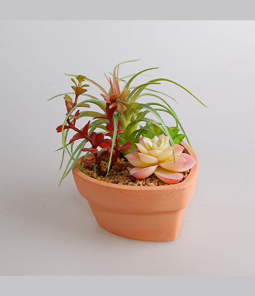小号观音莲人造多肉植物加工生产批发