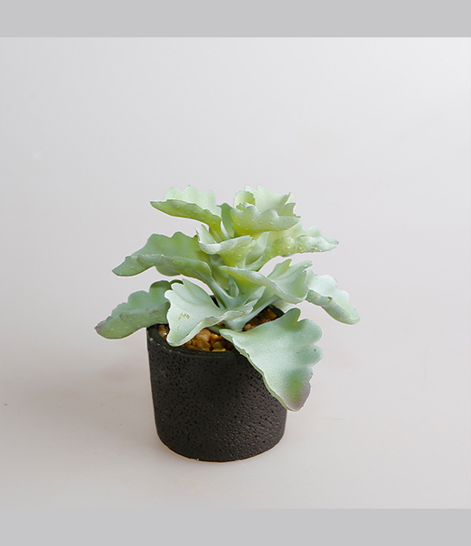 小号观音莲人造多肉植物加工生产批发