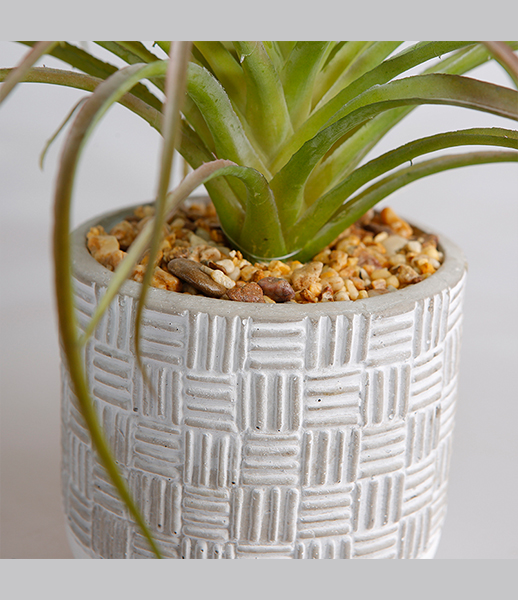 小号观音莲人造多肉植物加工生产批发
