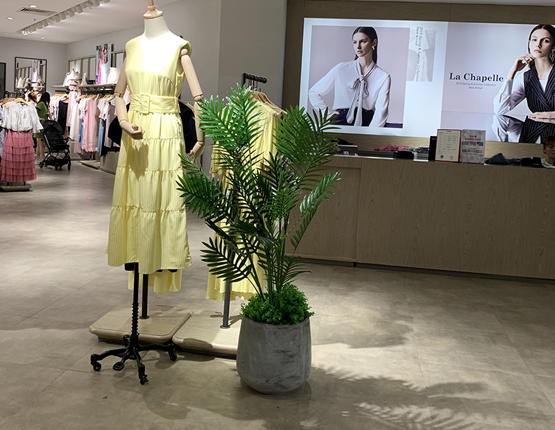 服装店里的盆栽