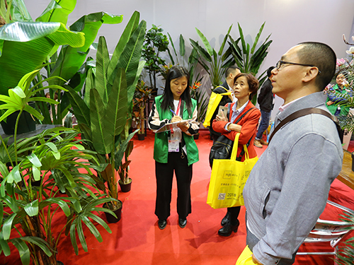 公司展会