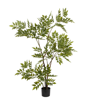 1.5米黄花梨  Y8537-5-3PS